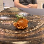 プレゼンテ スギ - 