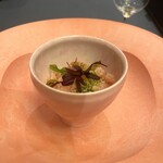 プレゼンテ スギ - 