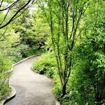 カフェ＆ガーデン しらさぎ邸 - 