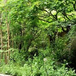 カフェ＆ガーデン しらさぎ邸 - 