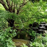 カフェ＆ガーデン しらさぎ邸 - 