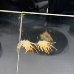 創作料理 非常識 - 