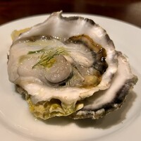 クッチーナ イタリアーナ アリア 六本木 - フレッシュオイスター