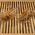 天ぷら上村 - 海老の足