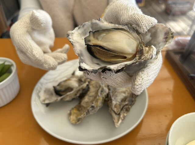 Kaki Goya WOOD DESIGN PARK Noma