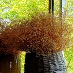 山羊コーヒー - 店内窓際のドライフラワー