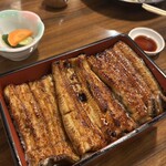 甲州 うなよし - 