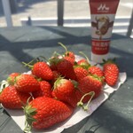 農園 紀の国 - 料理写真: