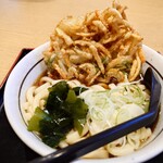 山田うどん - 料理写真:（2025/6月）天ぷらうどん