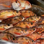 久右衛門 - インスタ釣り情報（メバル・カサゴ・カレイ・レンコダイ）