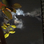 AW ・ELEMENTS - お月様が見えるテラス