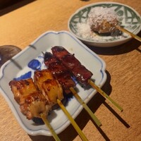 始祖鳥 - 