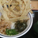 2014年8月・ごぼう天ぶっかけ（冷）＠550円