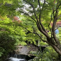 うかい鳥山 - 