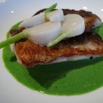 パトゥ - 魚料理(カマスのポアレ)