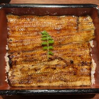 新宿うな鐵 はなれ - 特上鰻重