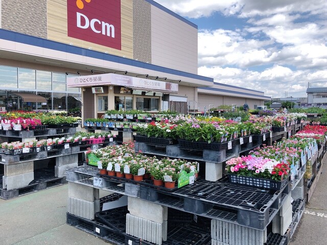 ひとくち茶屋 安積ケーヨーデイツー店 - 安積永盛（たい焼き・大判焼き）の写真