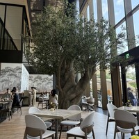 ジャヌ メルカート - 