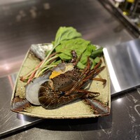 鉄板焼 雅 銀座 - 今日の伊勢海老