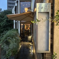 coci - 