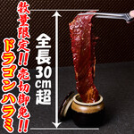 ドラゴンハラミ