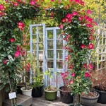 GAFLO CAFE by Flower FIELD - 