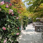 GAFLO CAFE by Flower FIELD - 