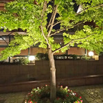 Rue Favart - 恵比寿ガーデンプレイスの木々