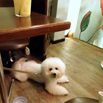 Rue Favart - 壁面は床まで届く大きな絵