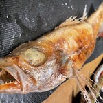 炭火原始焼と蔵元焼酎の店 のどぐろの中俣 - 