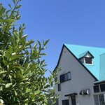 松乃家 - 今日もイタリアンのキンカンで卵1、1齢1、4齢1を発見^_^