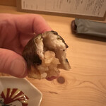 鮨おにかい＋1 - 