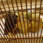 京料理かねき - 虫籠八寸