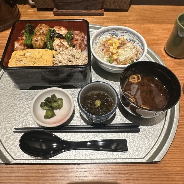 nagoyakochinichiounagoyaicchou photo 5