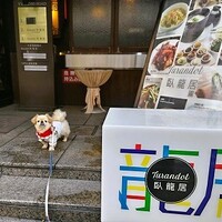 トゥーランドット 臥龍居  - 