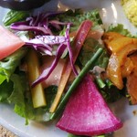 インド家庭料理 ラニ - サラダはパリッとした葉物野菜やカボチャなどの温野菜の他、玉葱のマリネなど多彩でした。