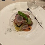 コウジイガラシ オゥレギューム - 