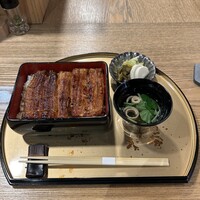 うなぎ 目白ぞろ芽 - 
