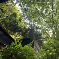 TRUNK(KITCHEN) - 