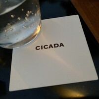 CICADA - 