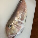 地酒と旬菜 ちそうや - 