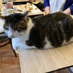 カフェ レタジェール - 