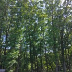 オーベルジュ・ラ・カンパーニュ - 