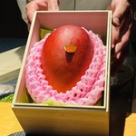 鮨shizuku 西天満 - 