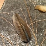 すし家 - Ｈ26.8 コハダ