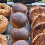 BAKERY CONNE PLATE - 