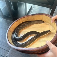銀座 四代目 高橋屋 銀座店 - 