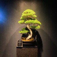 神戸牛511 - 