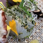 魚無双トオダ - 