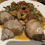 マシガネータ - 静岡産つぶ貝とマッシュルーム 生トマトのガーリックソテーシチリア風